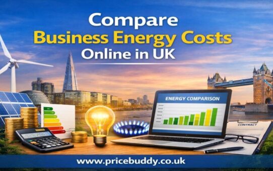 Guide to Comparing Business Electricity Tariffs in the UK